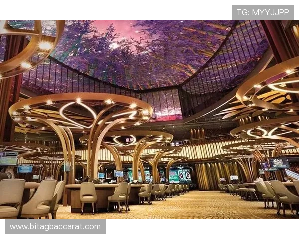 云顶赌场网址多样支付方式,支持多种主流支付渠道