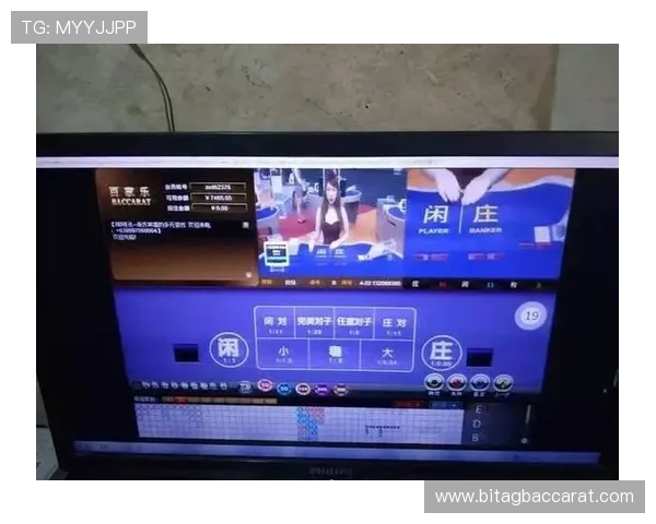 5. 评测最受欢迎的ag百家乐app，分析其安全性、游戏体验与客户服务质量